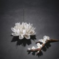 Hoa Sứ